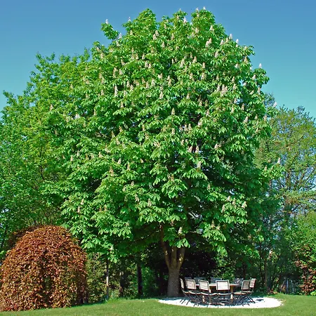 בית הארחה Hauptmann Pörtschach am Wörthersee