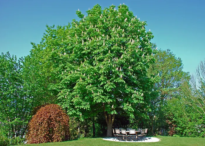 Guest house Hauptmann Portschach am Woerthersee