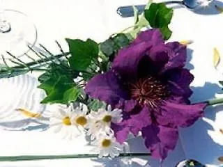 Hauptmann 4* Portschach am Woerthersee